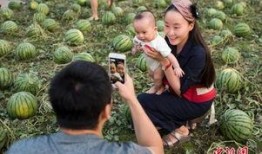 岳阳吃瓜群众,揭秘当地热门话题背后的故事