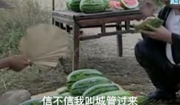 吃瓜遇到高手了