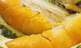 来姨妈吃网纹瓜