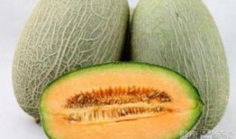 婆婆吃哈密瓜