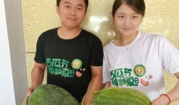 禹城吃瓜,一场别开生面的吃瓜盛宴