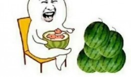 娱乐圈吃瓜要去哪里吃