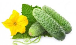 吃瓜系统秦筝,揭秘吃瓜系统背后的神秘力量