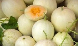 吃白兰瓜舌头出血,舌尖上的甜蜜与挑战