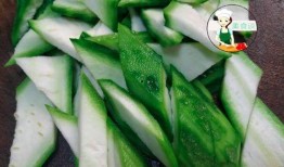 鲛瓜怎么吃,从传统到创新的美味之旅