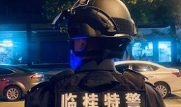 吃瓜少年vlog,揭秘娱乐圈幕后故事