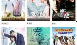 梦飞吃瓜视频,揭秘娱乐圈幕后故事，带你领略明星真实一面