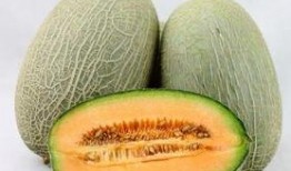 哮喘可不可以吃哈密瓜,营养与过敏风险解析