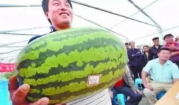 带你吃大瓜沙滩,大瓜沙滩特色美食大盘点