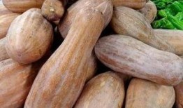 方瓜头如何吃,解锁多样吃法，尽享美味人生