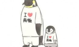 喵小姐吃瓜,揭秘娱乐圈那些事儿