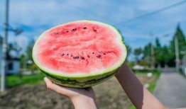 西雅中学吃瓜,揭秘校园里的热点话题