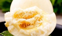 吃甜瓜的瓜不甜,揭秘瓜果口感背后的秘密