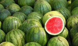 户外勺子吃瓜,勺子吃瓜，畅享夏日清凉时光