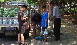 岳阳吃瓜群众,揭秘当地热门话题背后的故事