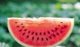 羊秤系吃瓜,揭秘娱乐圈的“瓜田”风云