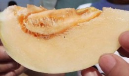 同城吃瓜在哪,探寻网络社交的趣味与真相