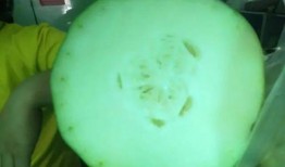 小瓜心怎样吃,解锁多种美味吃法