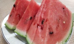 上海31吃瓜群,揭秘都市生活里的八卦盛宴