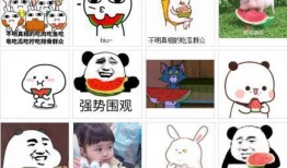 瓜瓜吃瓜的引入语,揭秘娱乐圈的幕后故事