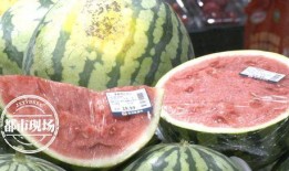 吃瓜神探价格,探寻美食背后的故事