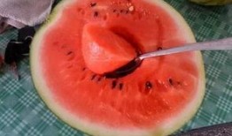 成都男人吃瓜,瓜界新势力，品味生活新风尚