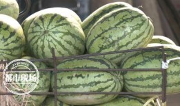 华妃吃瓜价格,揭秘明星圈内的价格秘密