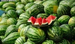 鲁k吃瓜,揭秘娱乐圈背后的惊人真相