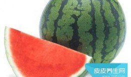 吃瓜吃花籽会胖吗,真的会让人发胖吗？揭秘真相