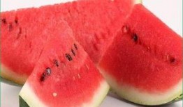 黑色海瓜可以吃吗怎么吃,黑色海瓜的食用方法与营养价值揭秘