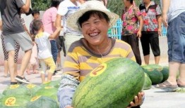 禹城吃瓜,一场别开生面的吃瓜盛宴