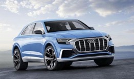 河北奥迪销冠吃瓜,揭秘汽车销售界的“幕后风云”