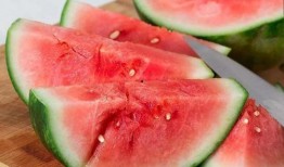 羊秤系吃瓜,揭秘娱乐圈的“瓜田”风云