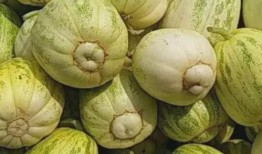 出伏吃果不吃瓜,吃果不食瓜，健康度金秋