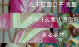 相聚吃瓜,揭秘娱乐圈背后的故事与真相