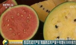 哥斯拉变成吃瓜群众了吗,从怪兽到吃瓜群众的华丽转身