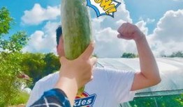 最新吃瓜网红事件,最新吃瓜事件揭秘！