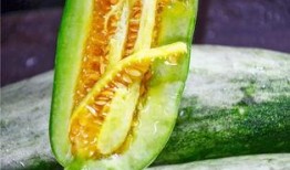 吃瓜东莞网红,揭秘网络红人的幕后故事