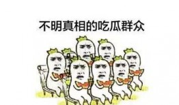 吃瓜的底线,揭秘网络舆论的边界与责任