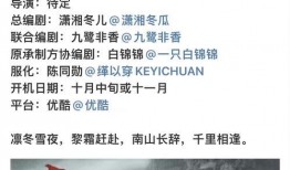 理性吃瓜课程安排,课程安排深度解析