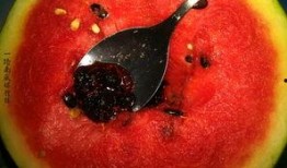 奇葩衣服带你吃瓜,跟随奇葩衣服探寻吃瓜乐趣