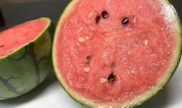 吃瓜过程,一场别开生面的吃瓜之旅