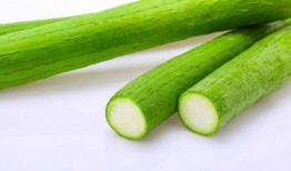 老人吃瓜的意思,揭秘老人吃瓜的趣味生活