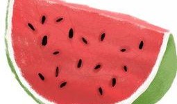 瓜皮日常吃瓜,揭秘吃瓜群众的快乐源泉