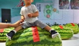 吃瓜群众的诞生,揭秘网络围观文化的崛起