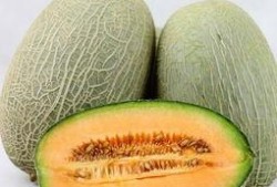 爱上吃哈密瓜,一场味蕾的浪漫之旅