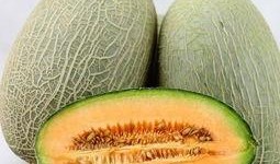 爱上吃哈密瓜,一场味蕾的浪漫之旅