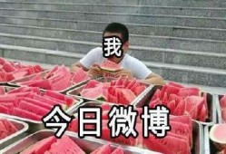 圈內吃瓜,揭秘明星幕后故事