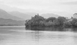 吃瓜仙湖,揭秘神秘仙湖的瓜果传奇