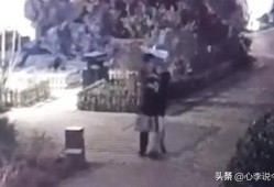 乌镇吃瓜事件视频,一场网络狂欢背后的真相揭秘